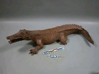 藏品(鱷魚)的圖片